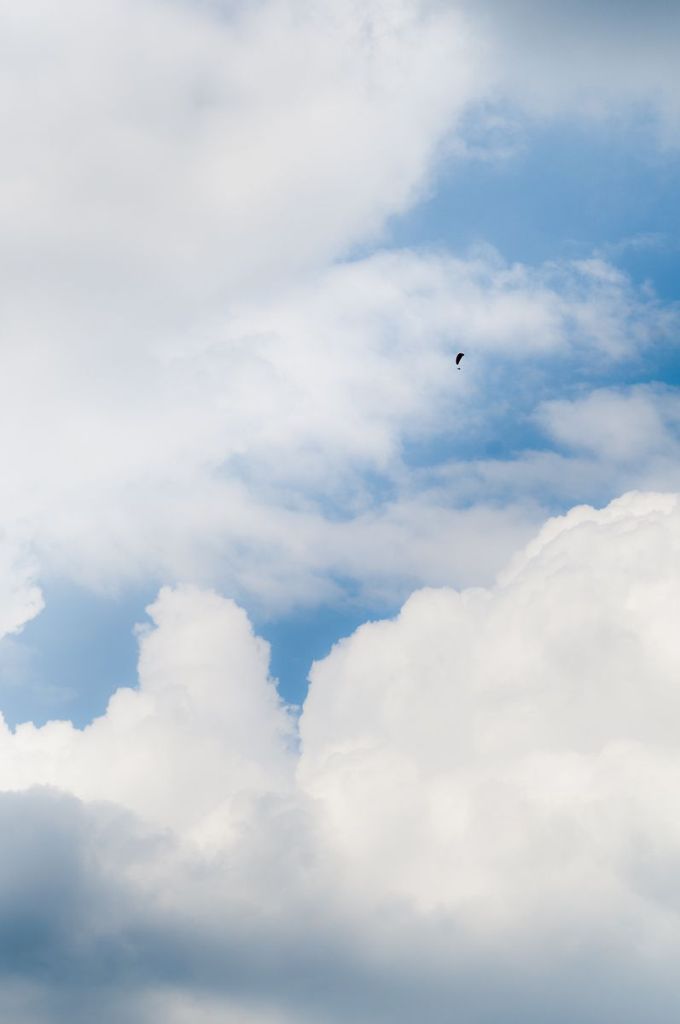 _D303878.jpg