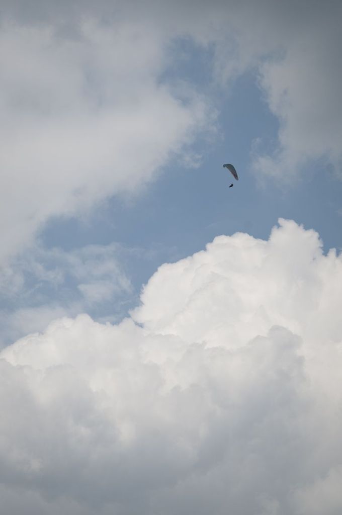 _D303887.jpg