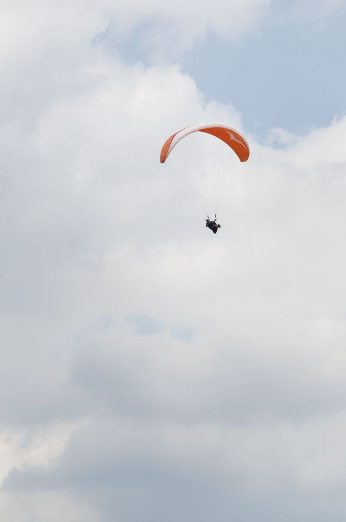 _D303908.jpg