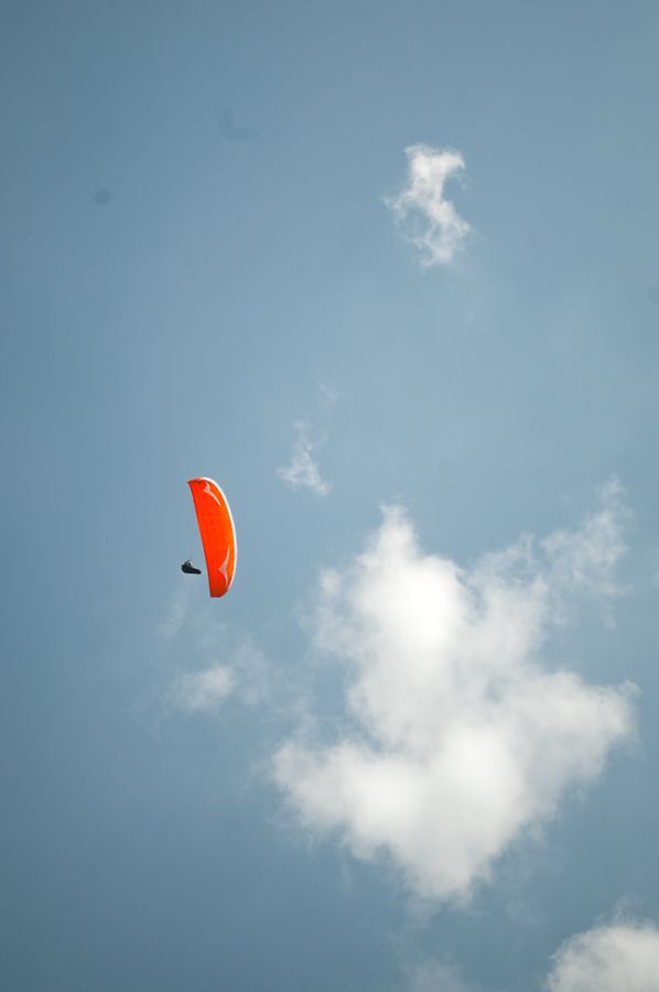 _D153792.jpg