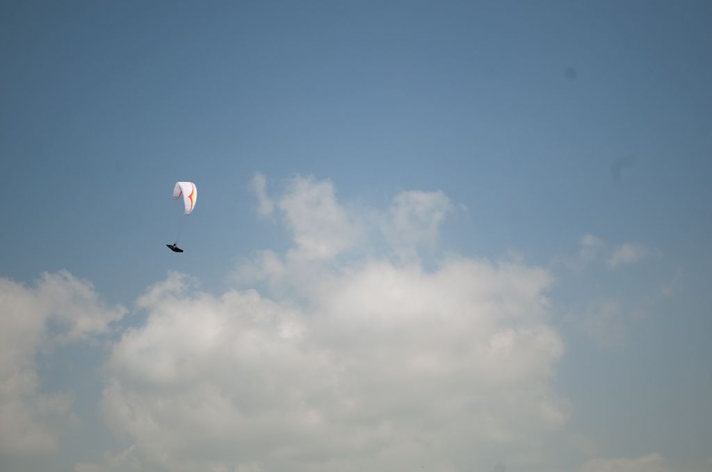 _D153776.jpg