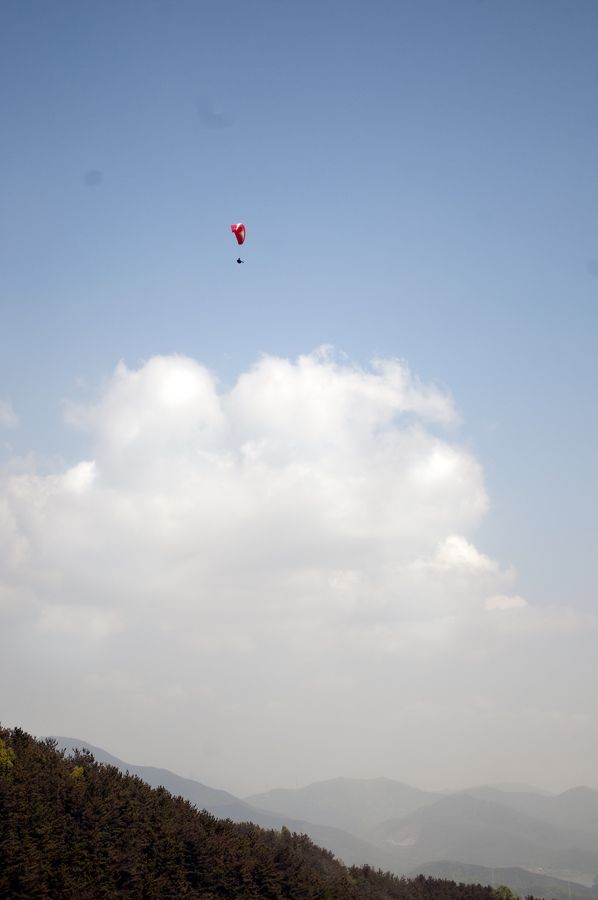 _D153769.jpg