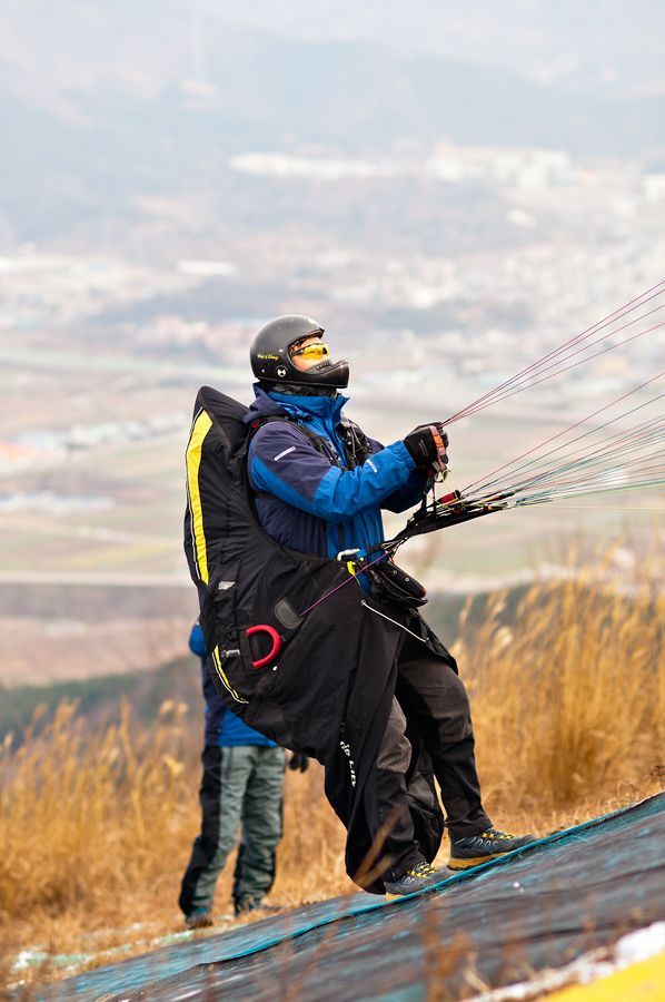 _D309410.jpg