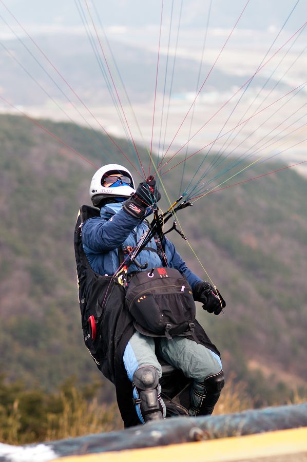 _D309406.jpg