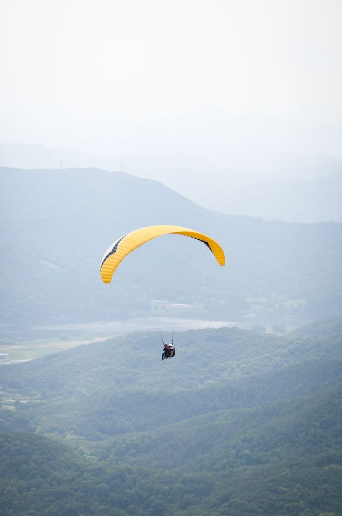 _D303982.jpg