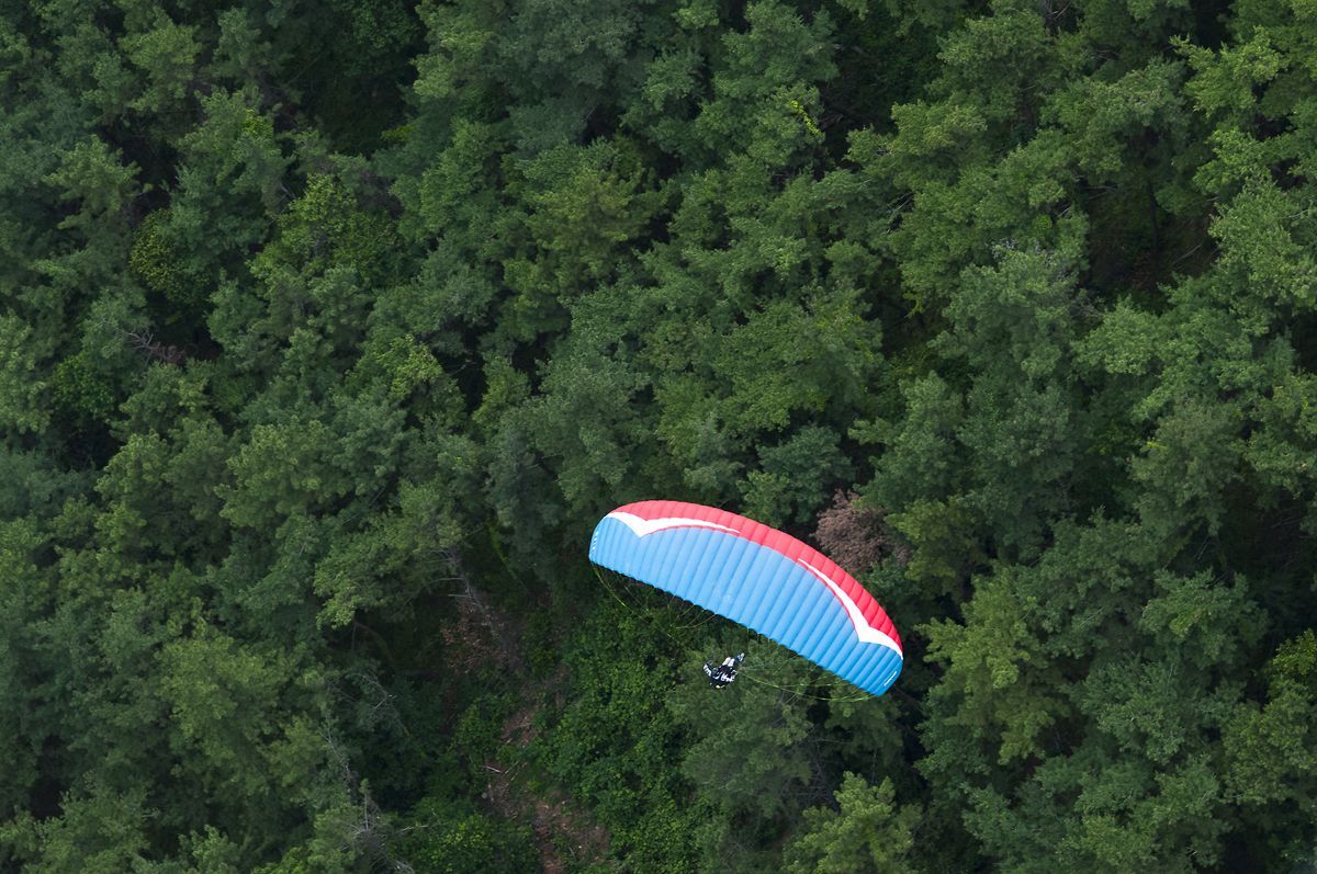 _D303961.jpg
