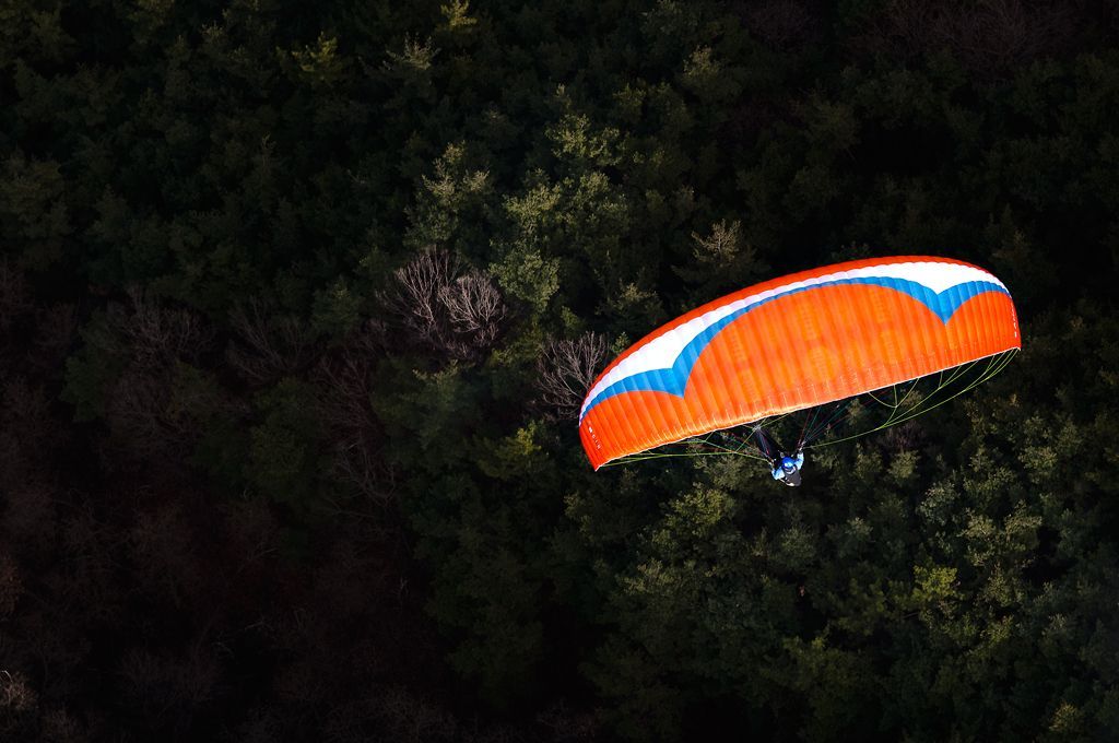 _D309606.jpg
