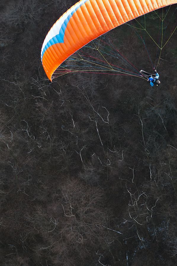 _D309601.jpg