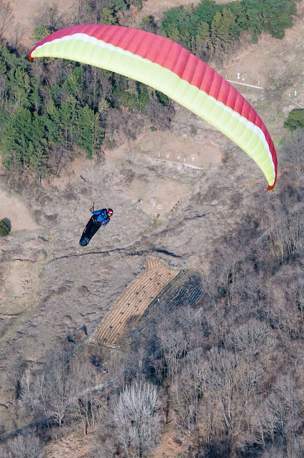 _D309582.jpg
