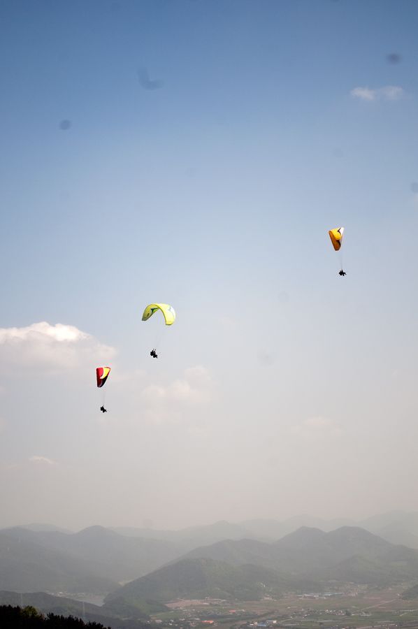 _D153812.jpg
