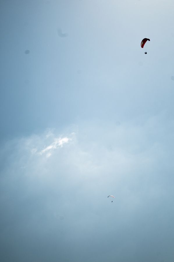 _D153795.jpg