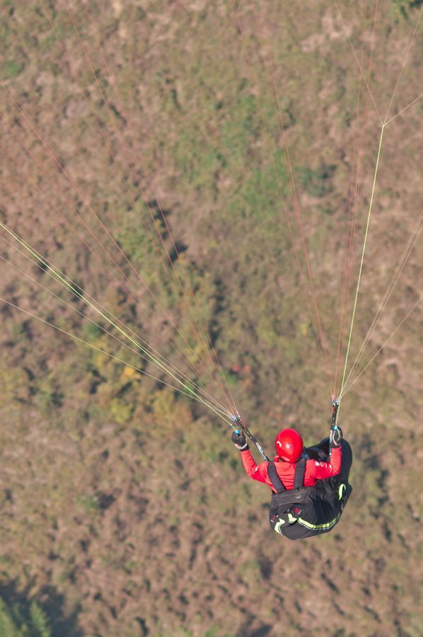 _D308174.jpg