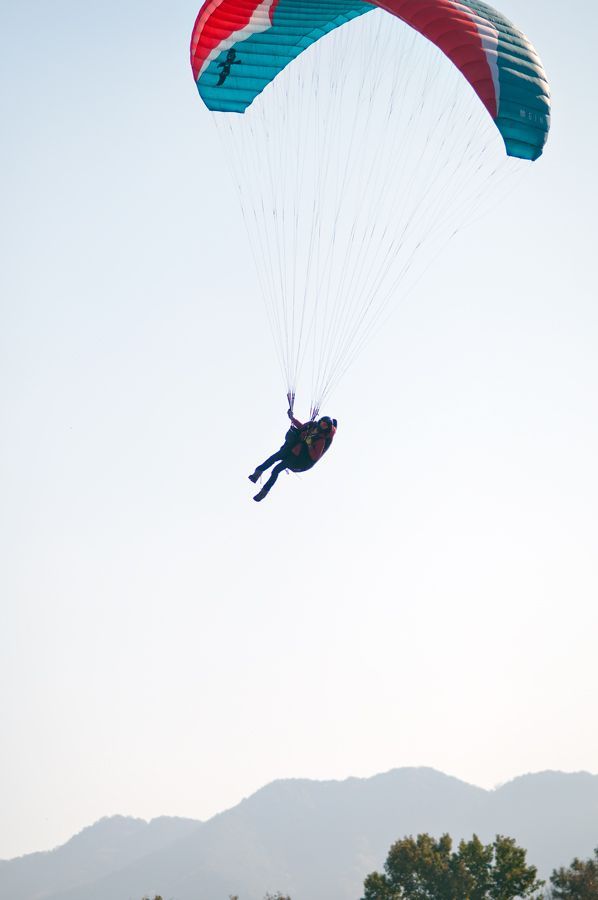_D308226.jpg