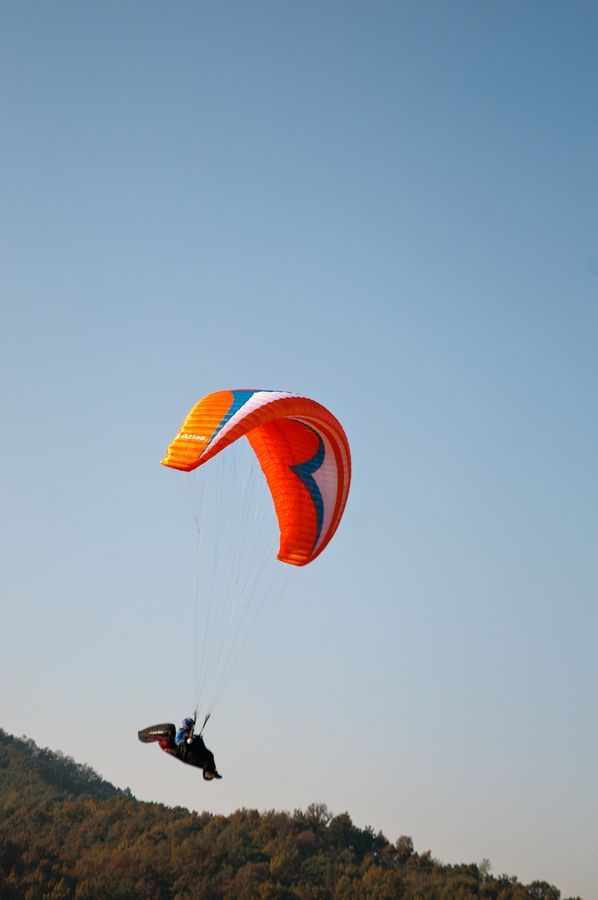 _D308259.jpg
