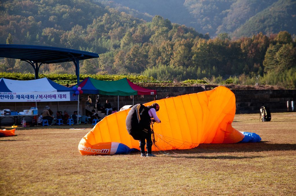 _D308252.jpg