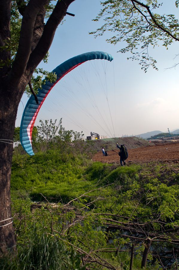 _D153873.jpg