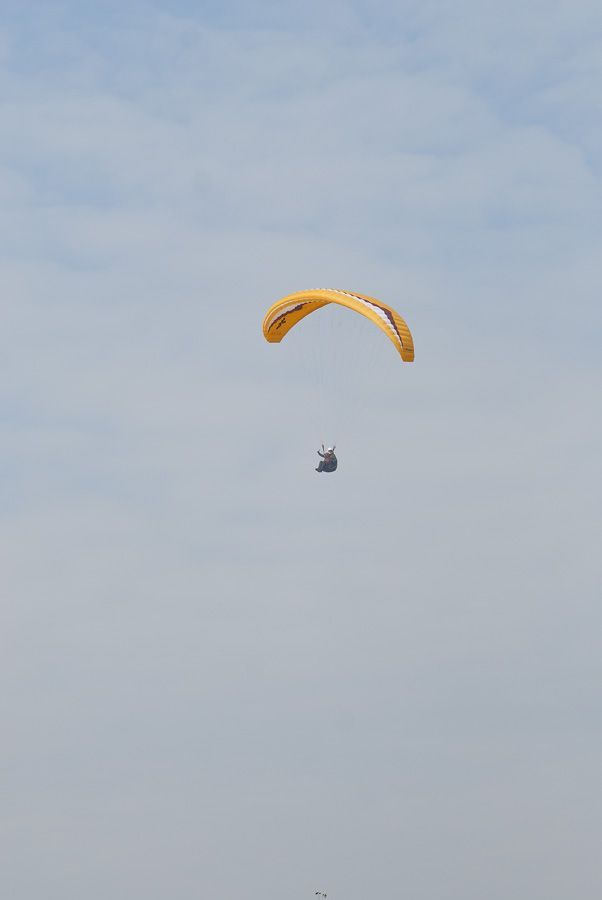_D148289.jpg