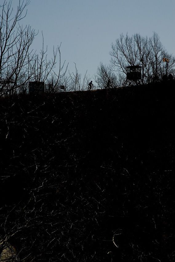 _D121877.jpg