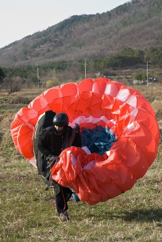 _D121989.jpg