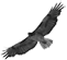 logo_s.png