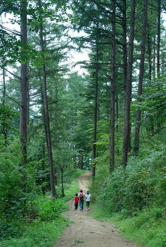 DSC_7509.jpg