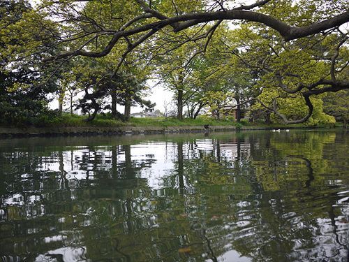 P1000137.jpg