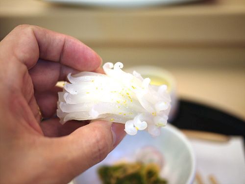 P1000377.jpg