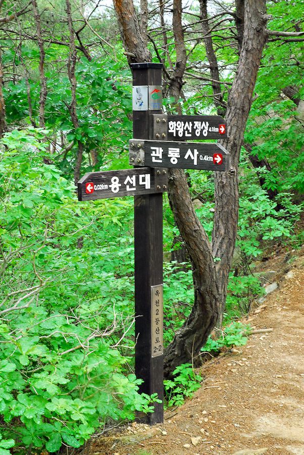 D10_0037.jpg