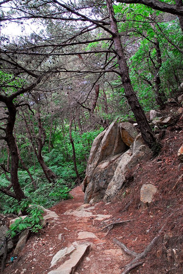 D10_0016.jpg