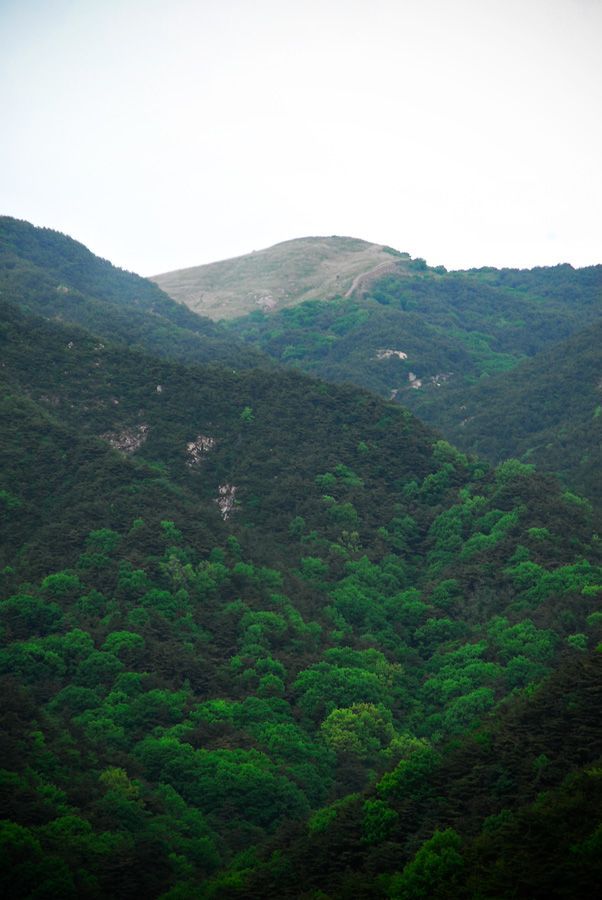 D10_0051.jpg