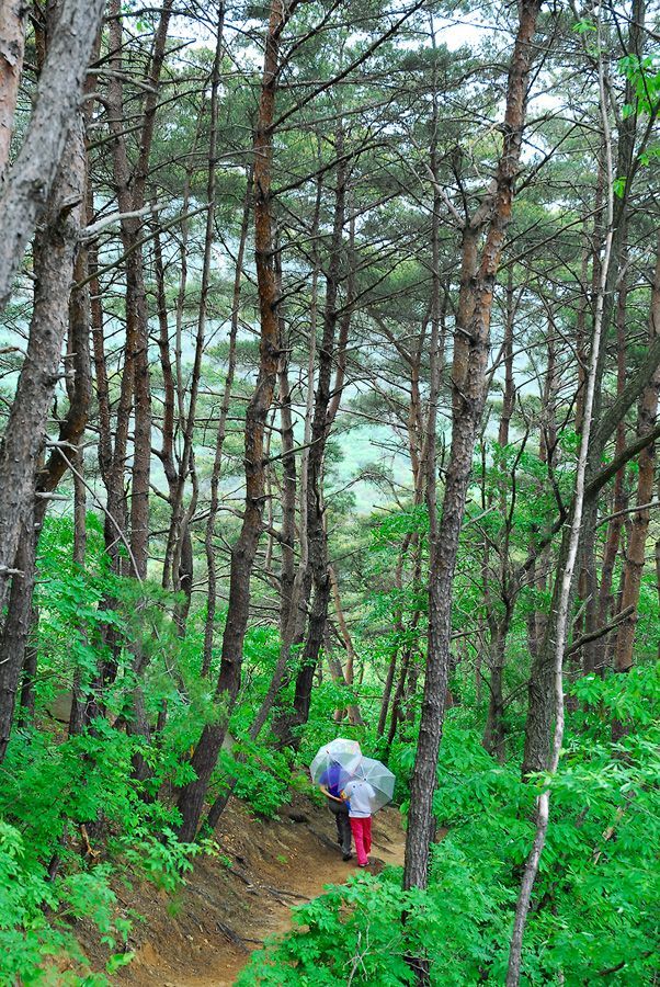 D10_0085.jpg