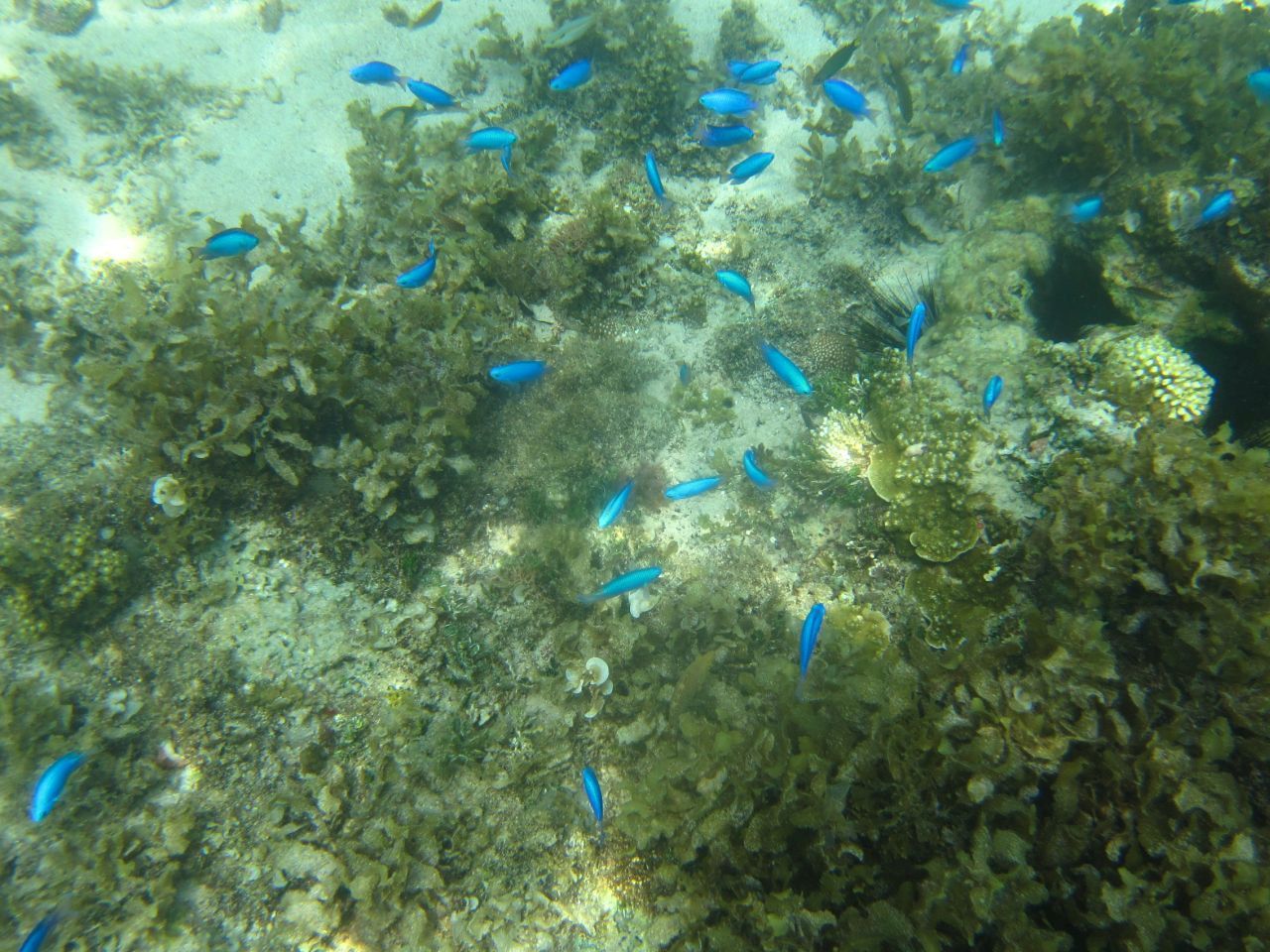 IMG_0857.jpg