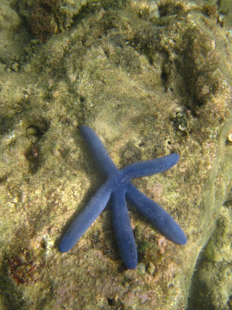 IMG_0860.jpg