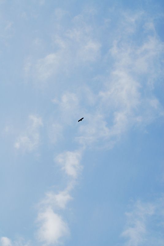 DSC_0070.jpg
