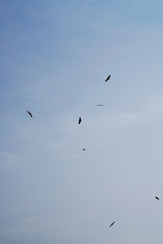 DSC_0072.jpg