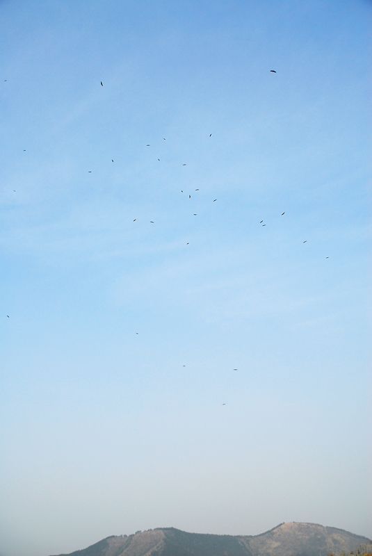 DSC_0130.jpg