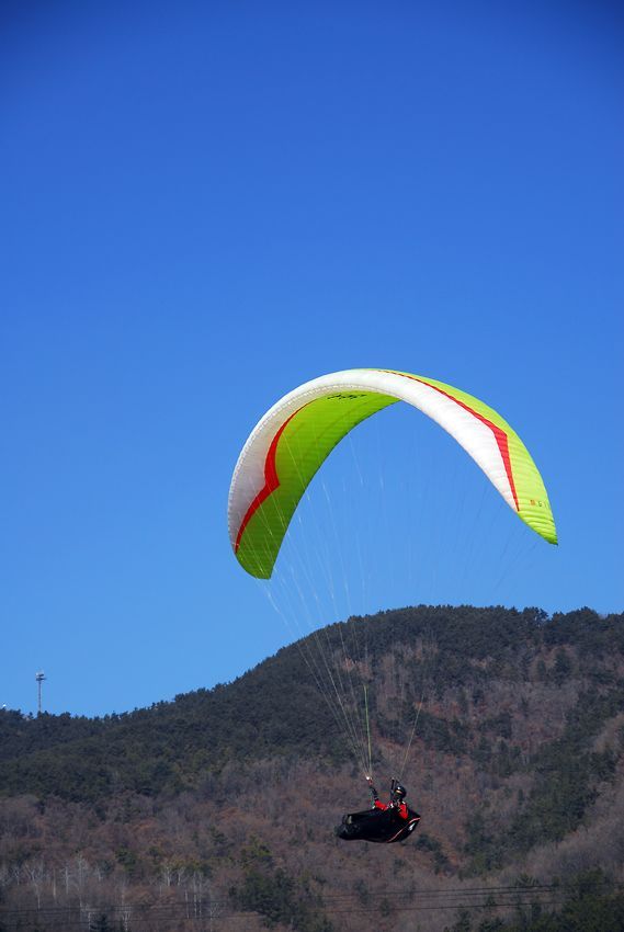 DSC_0102.jpg
