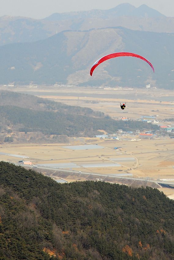 D11_0499.jpg