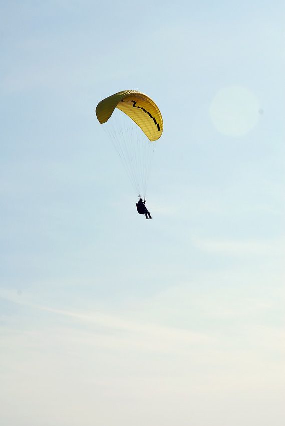 D11_0544.jpg