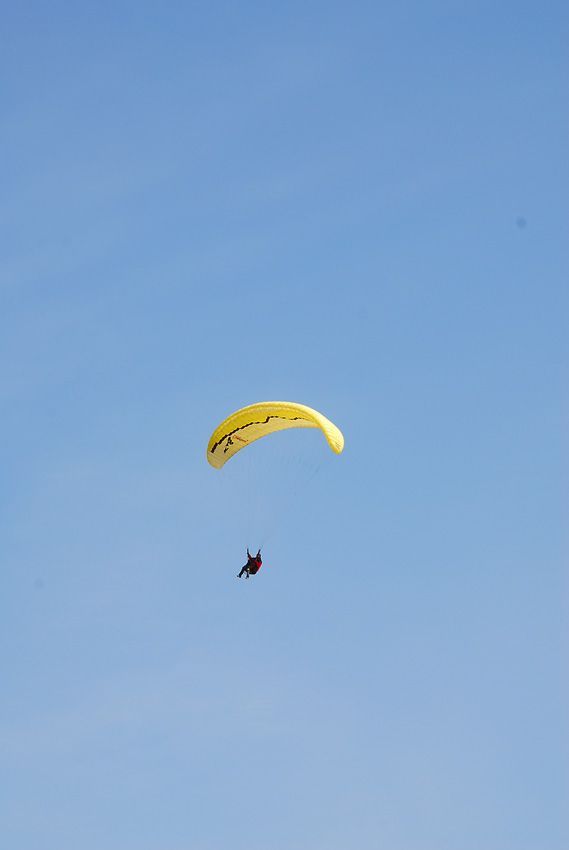 D11_0541.jpg