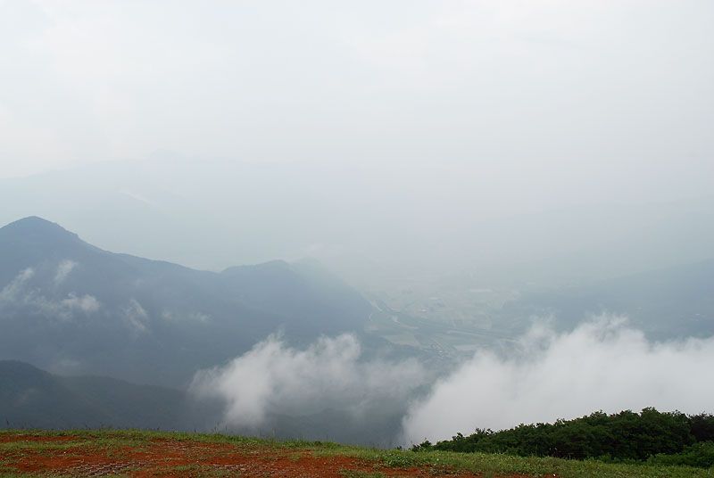 DSC_6393.jpg