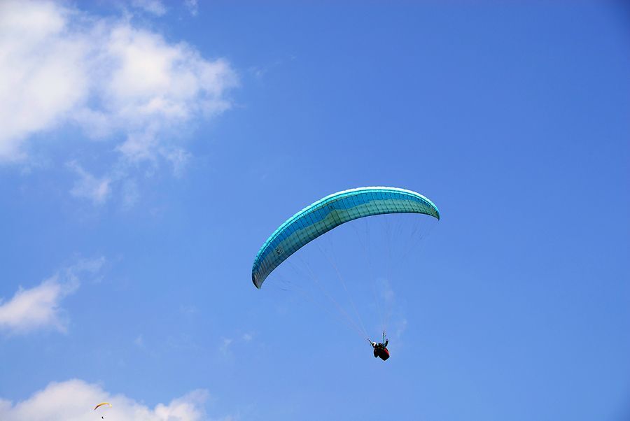 DSC_0051.jpg