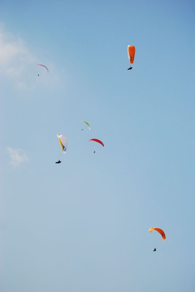 DSC_0674.JPG