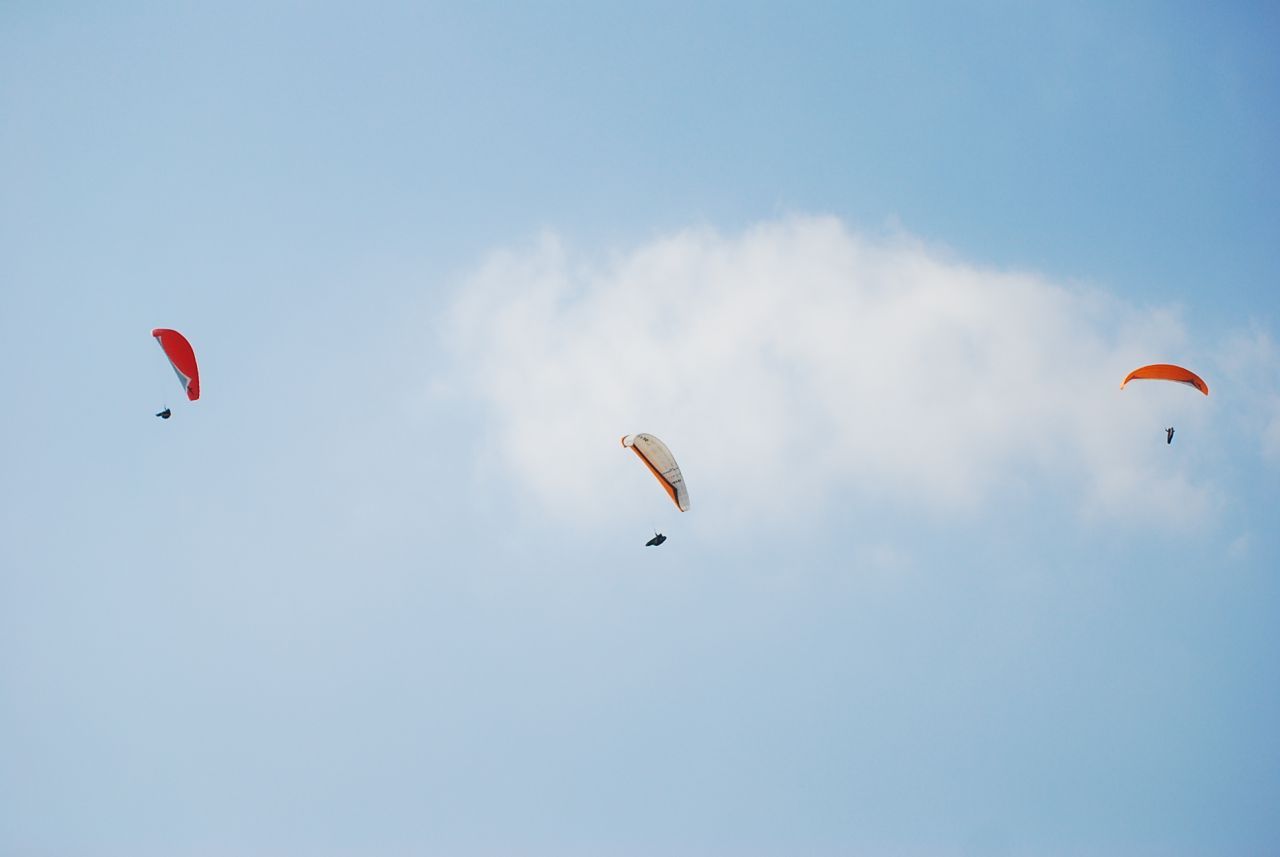 DSC_0677.JPG