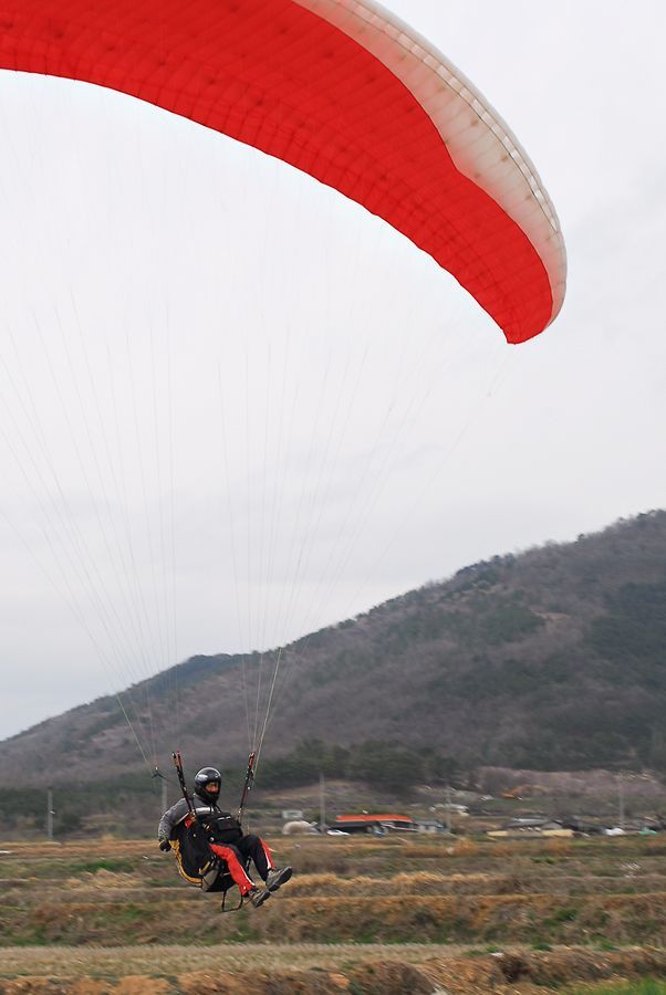 DSC_0433.jpg