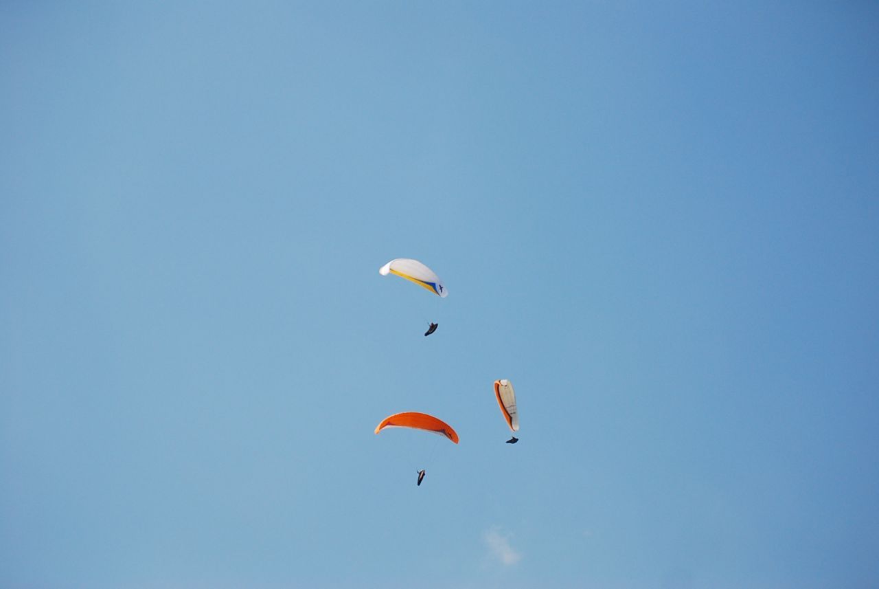 DSC_0665.JPG