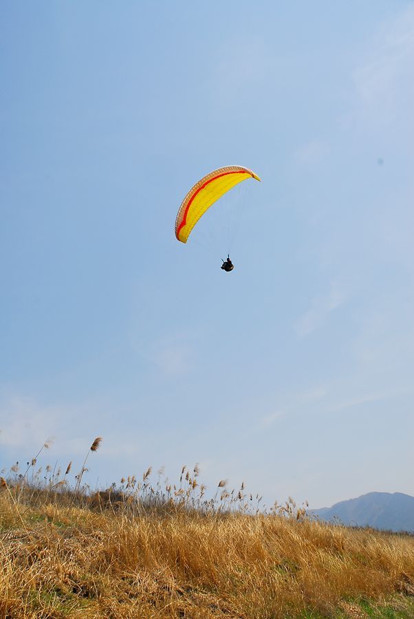 D10_0044.jpg