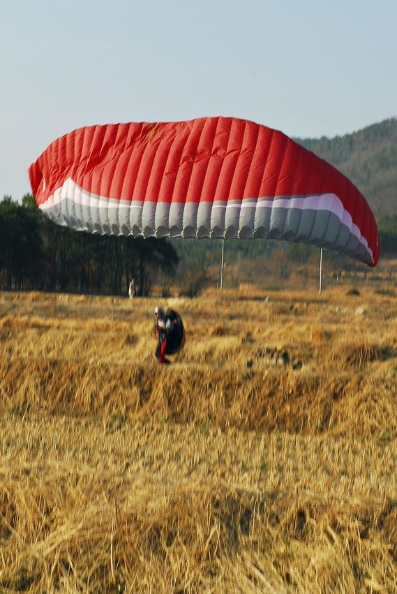 D11_1034.jpg
