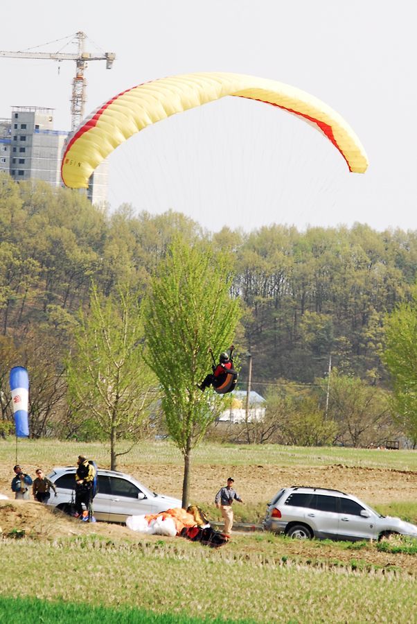 D10_0223.jpg