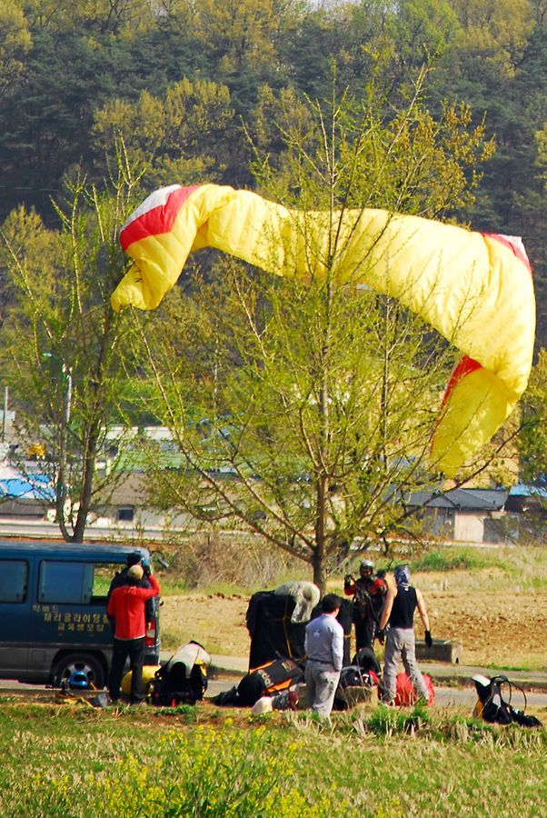 D10_0242.jpg
